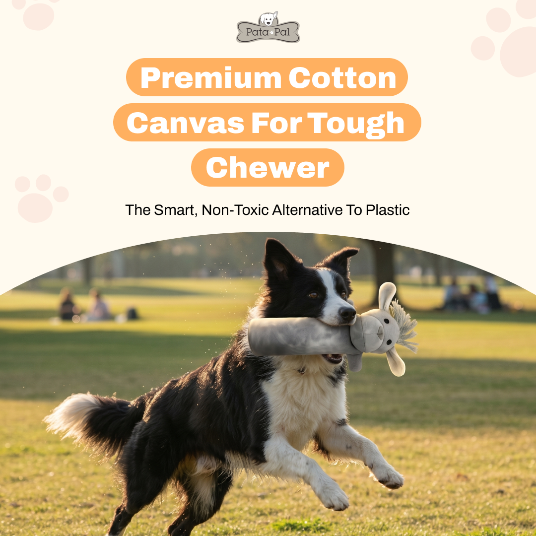The Ultimate Guide to Pet Toy Safety: What Every Owner Should Know