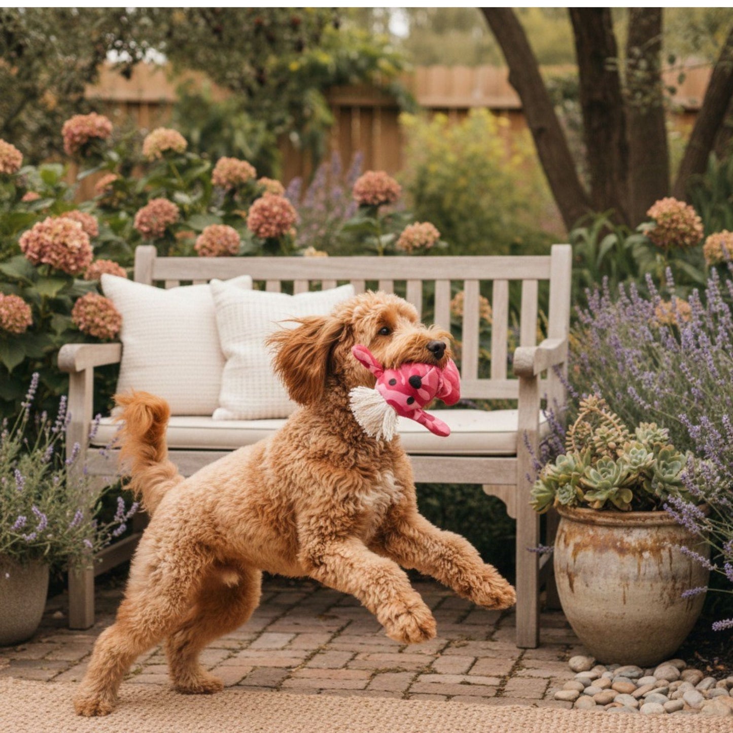 Safe Squeaky Dog and Cat Toy Cotton Canvas Chew -Pinky