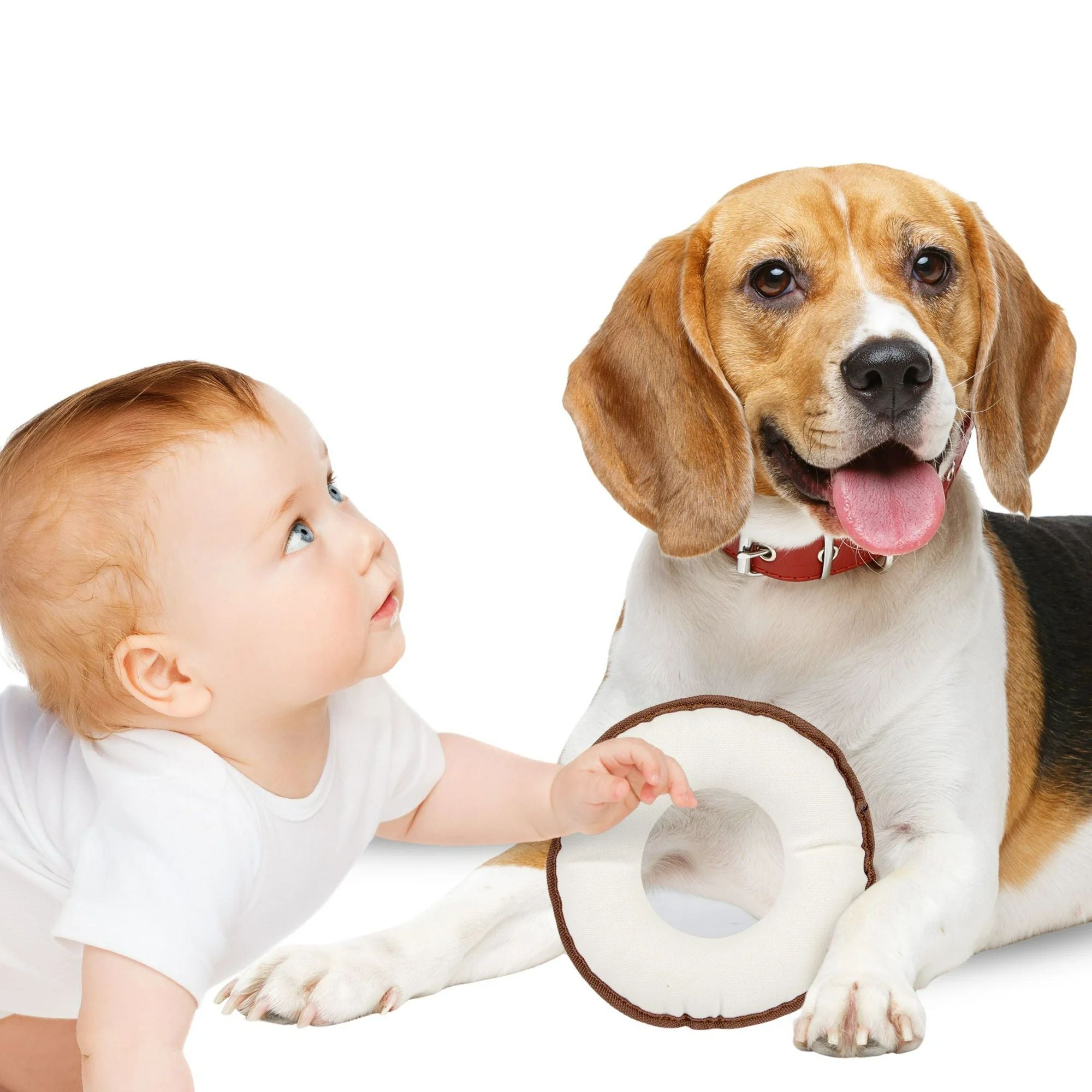 Pata Pal Non-Toxic Dog Toy, Disk Pet Chew Toy, Sustainable, Eco-Friendly & Tested Child-Safe