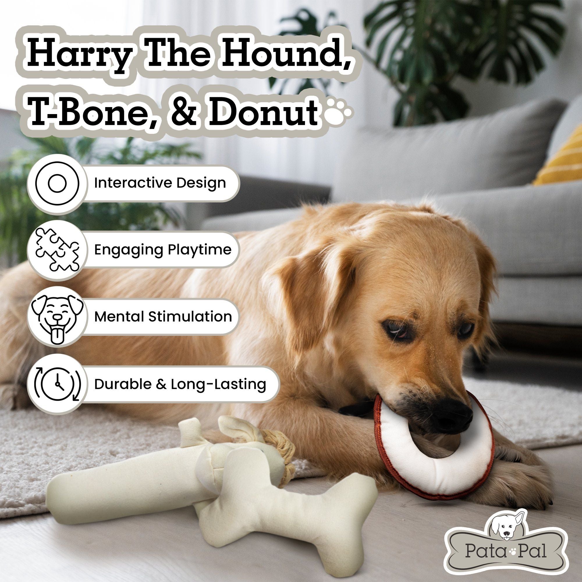 3pc Pata Pal Non-Toxic Dog Toys, Harry the Hound, T-Bone & Donut Dog Chew Toy, Sustainable, Eco-Friendly & Tested Child-Safe