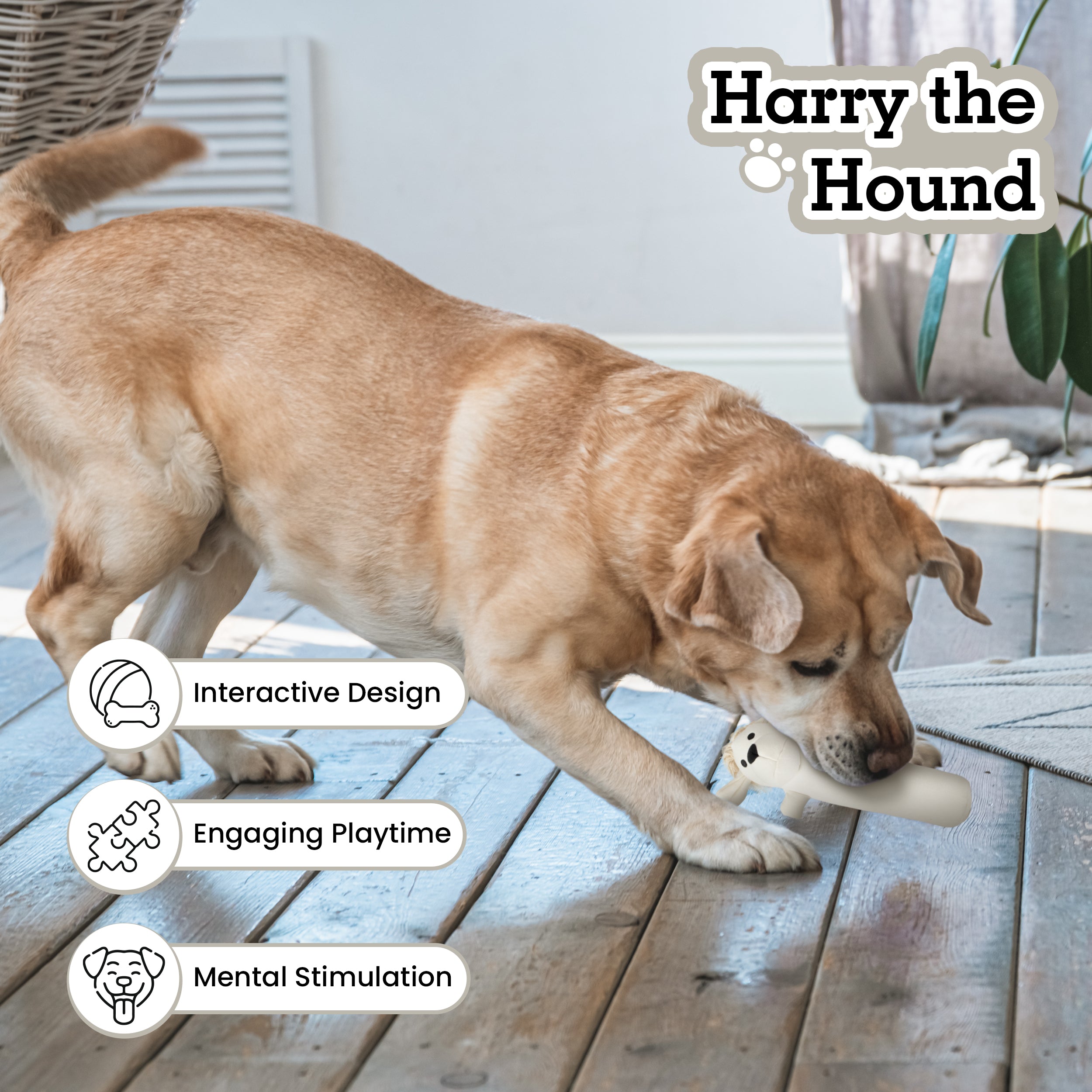 Pata Pal Sustainable Dog Chew Toy, Harry The Hound w/ Squeaker, Eco-Friendly & Tested Child-Safe