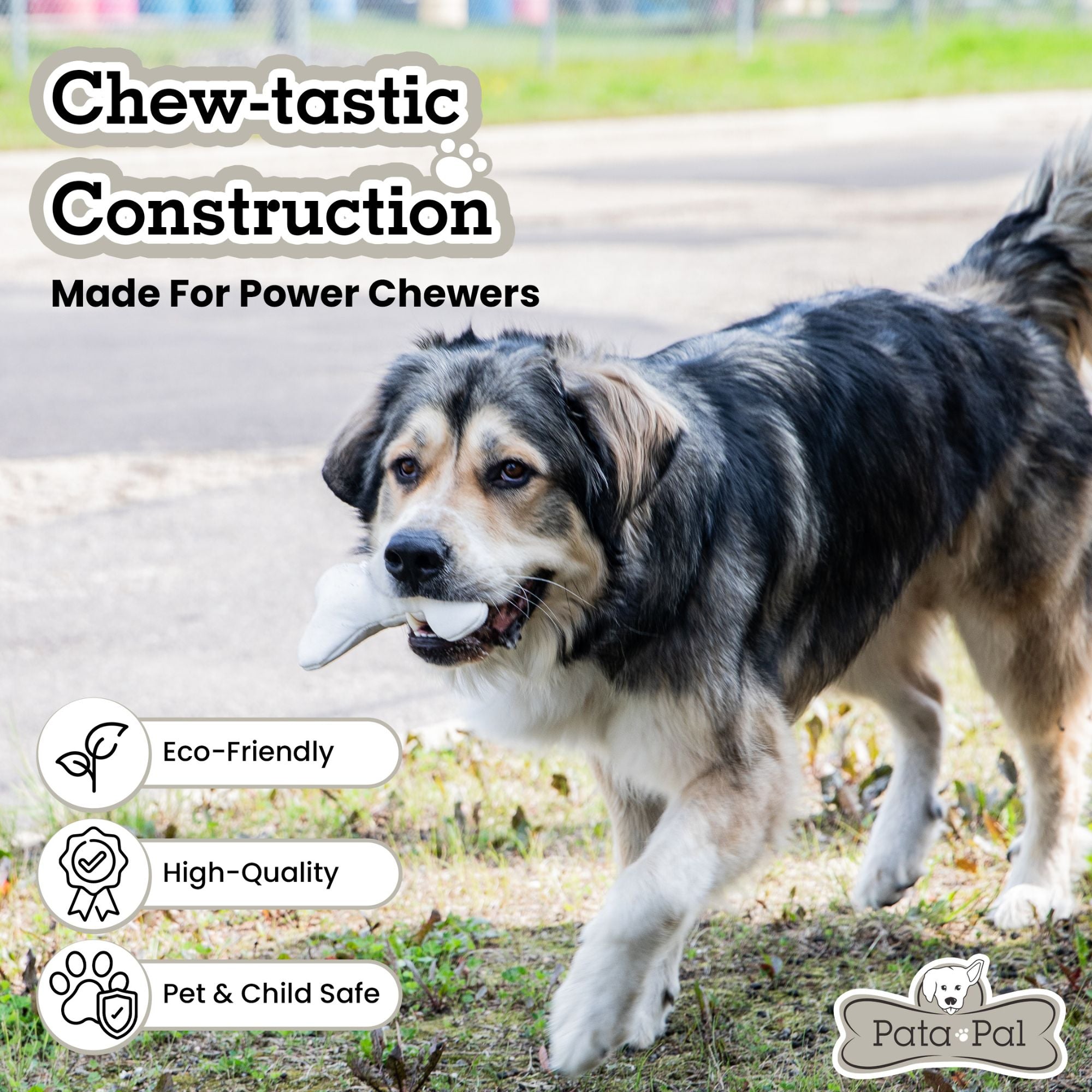 Pata Pal Squeaky T-Bone Dog Chew Toy, Eco‑Friendly, Durable & Child‑Safe Tested, Non-Toxic Pet Toy