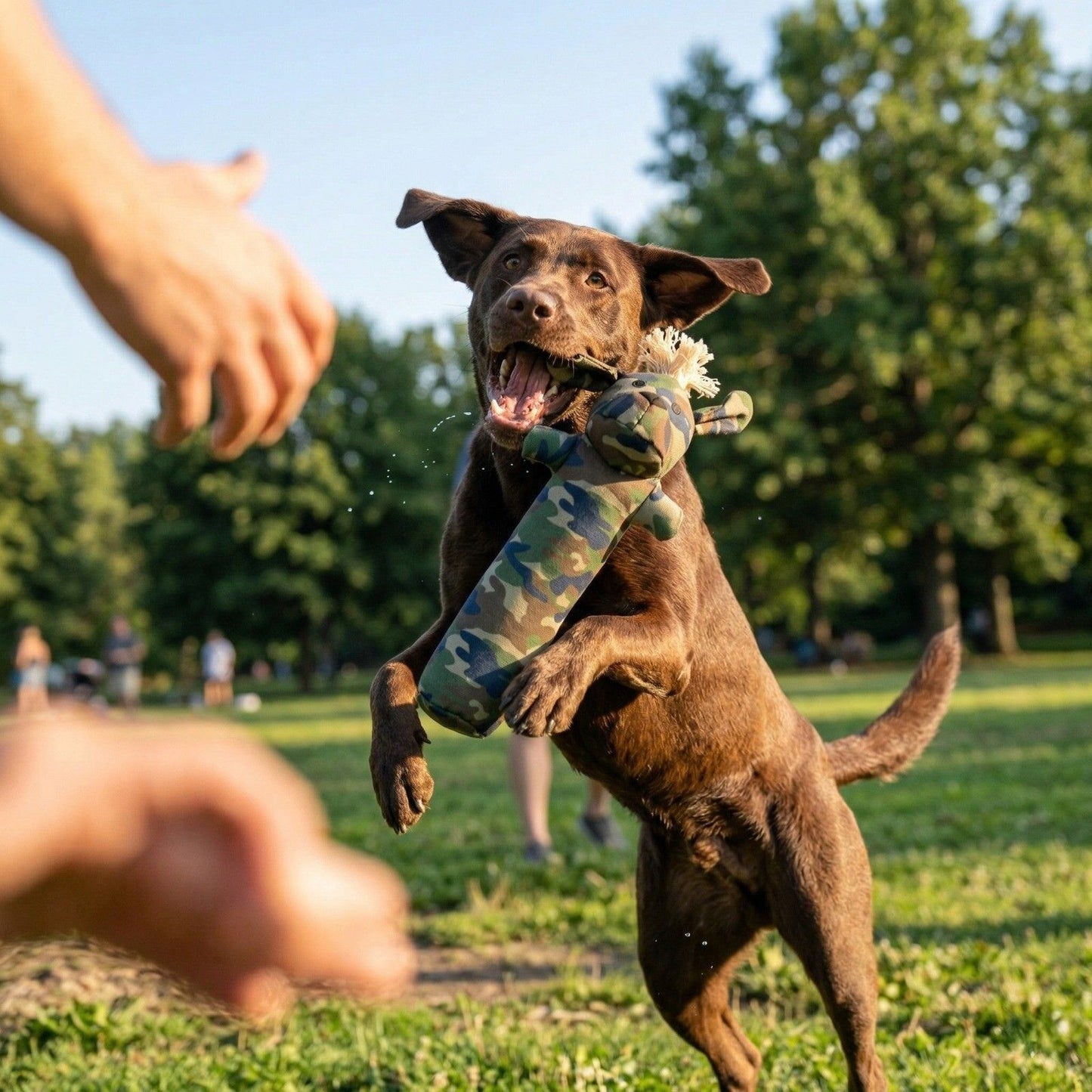 Durable Squeaky Dog Chew Toy Cotton Canvas -Sarg