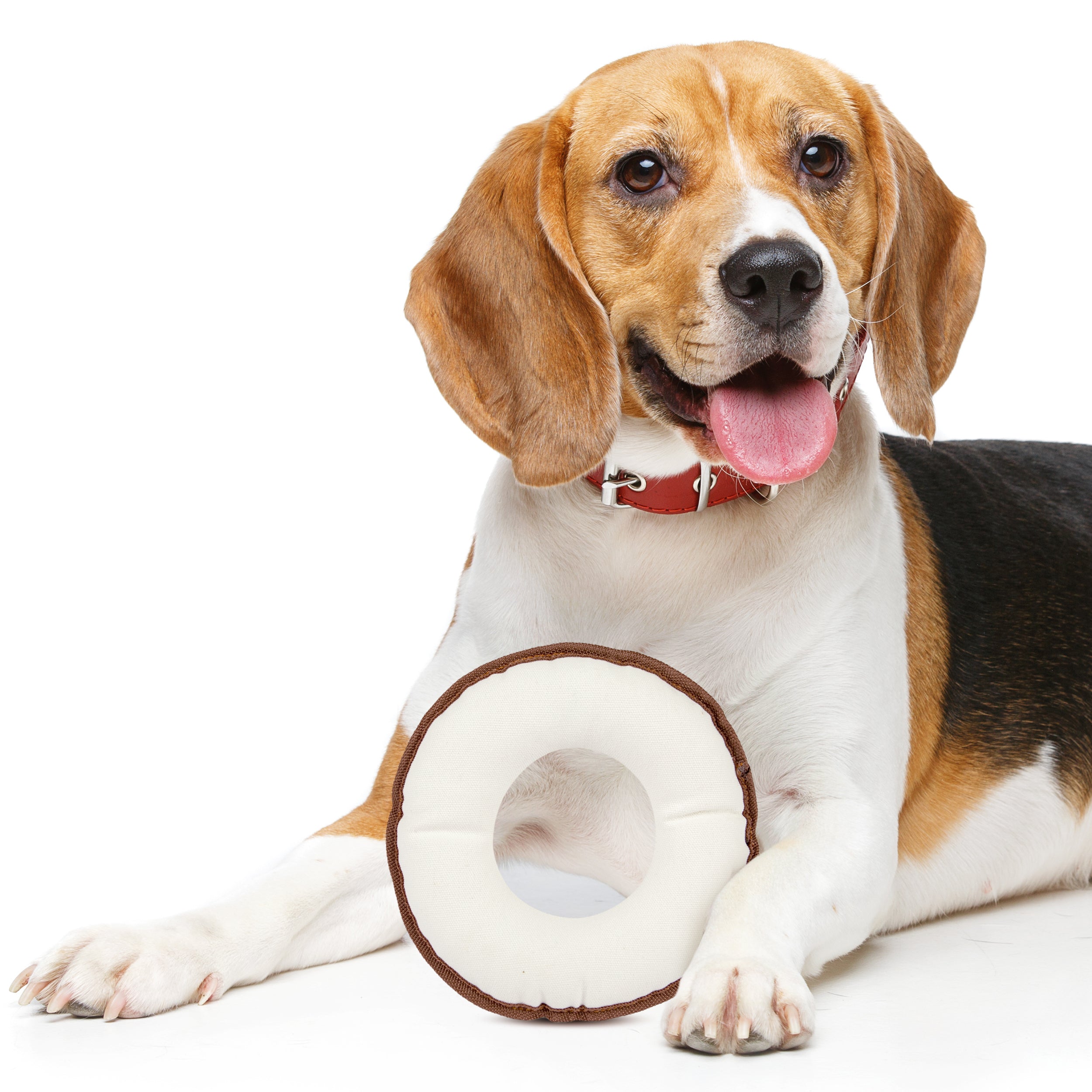 Pata Pal Non-Toxic Dog Toy, Disk Pet Chew Toy, Sustainable, Eco-Friendly & Tested Child-Safe