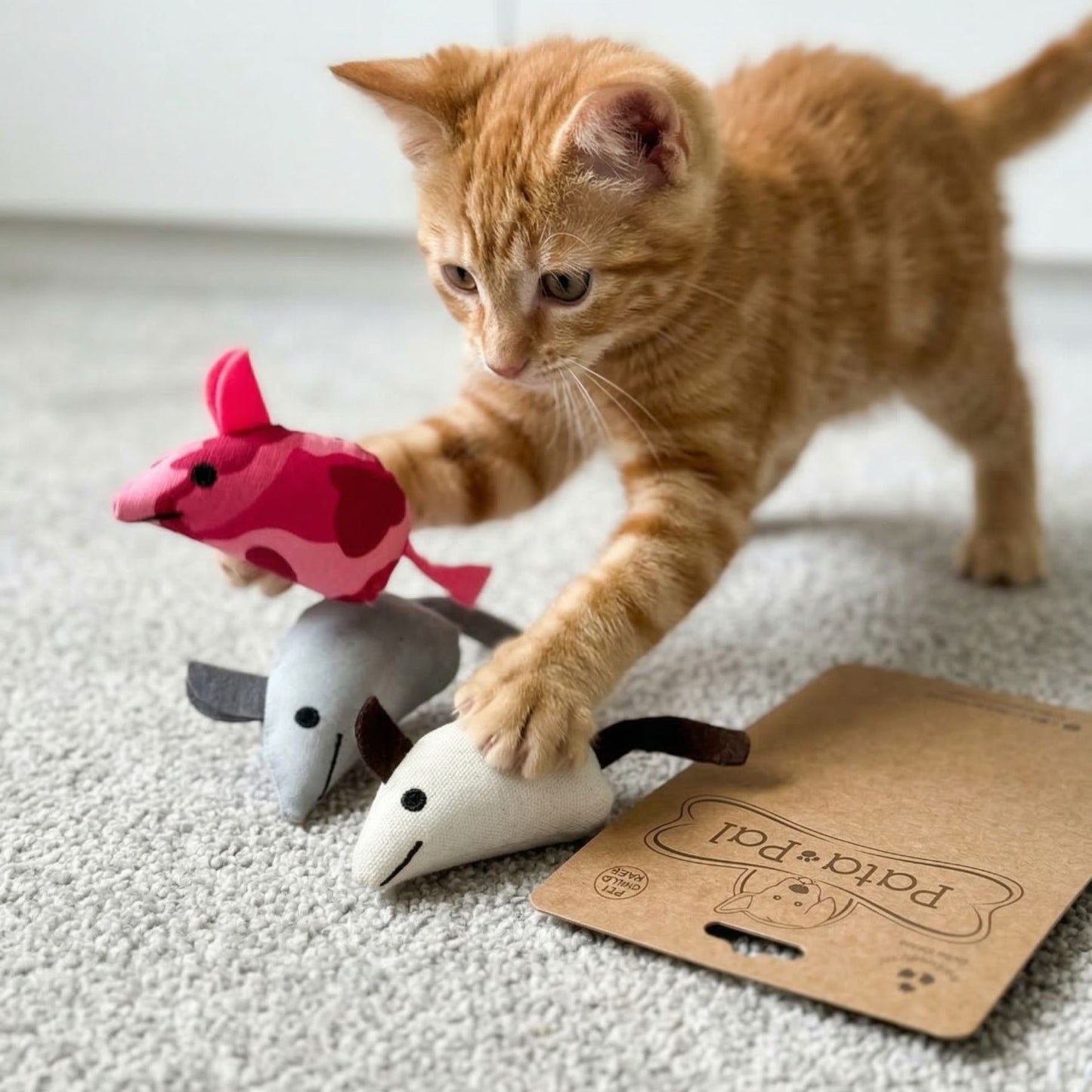 Interactive Cat Set & Play Mice Toys (Multi-Pack)