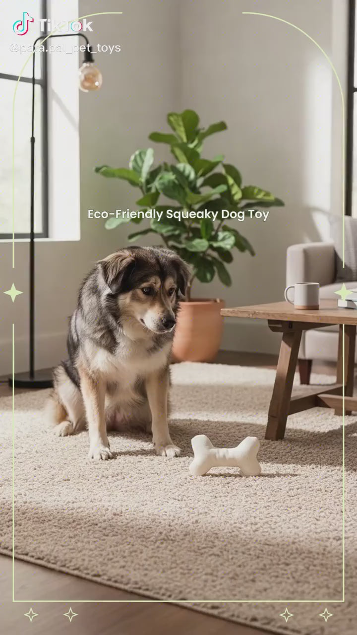 Pata Pal Squeaky T-Bone Dog Chew Toy, Eco‑Friendly, Durable & Child‑Safe Tested, Non-Toxic Pet Toy